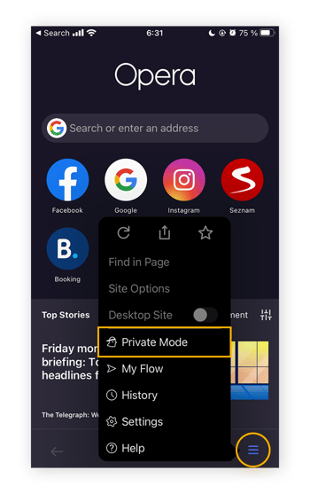 Tap the menu icon and select Private Mode to enable Opera's Private Browsing for iOS.